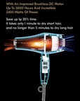 Forte Pro Feather Dryer