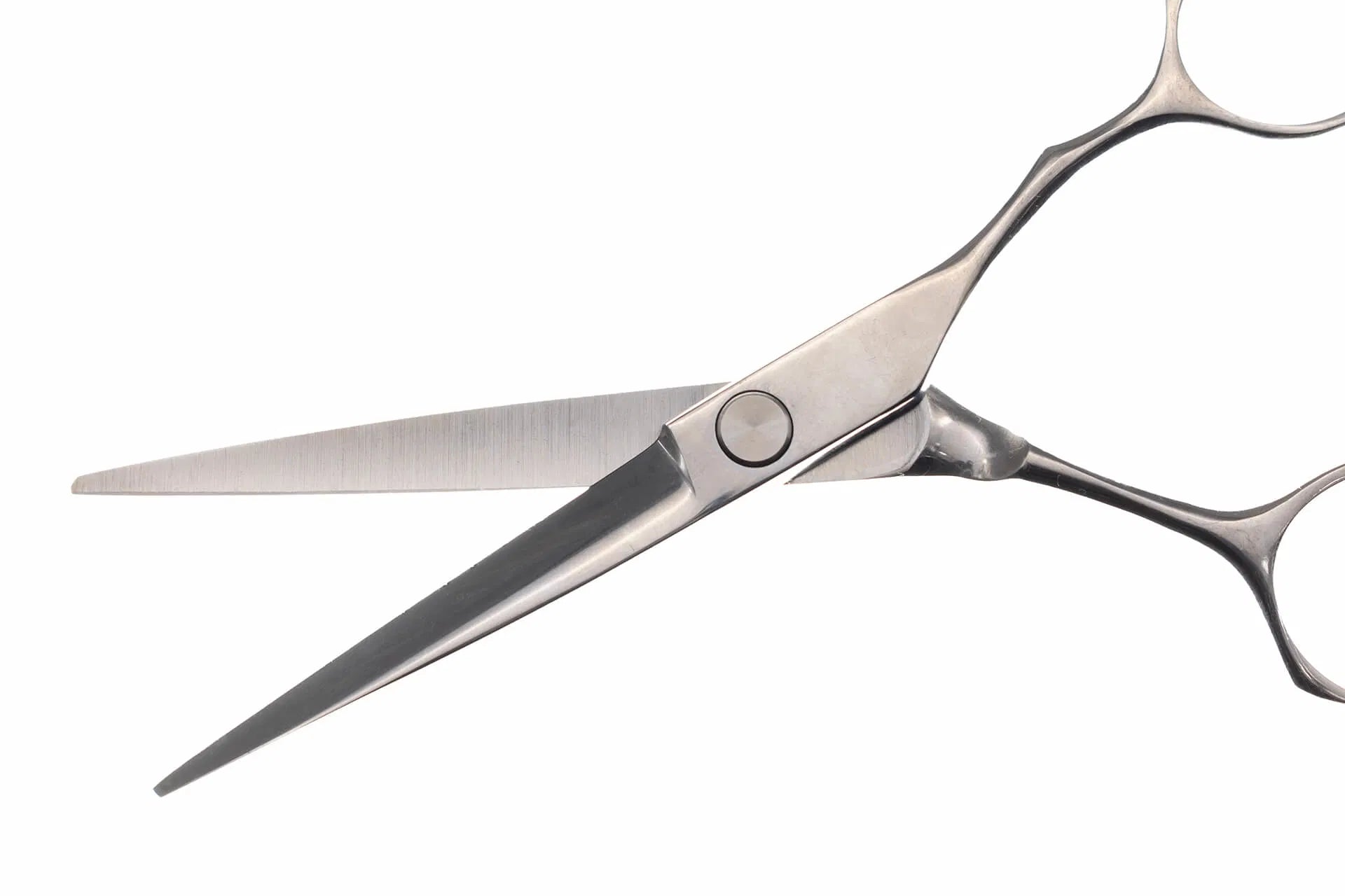 Seki Edge Drop Forged Cutting Shears