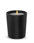 Hardworking Gentlemen Natural Candles