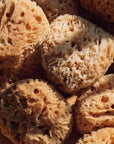 Firsthand Supply Sea Wool Sponge