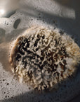 Firsthand Supply Sea Wool Sponge