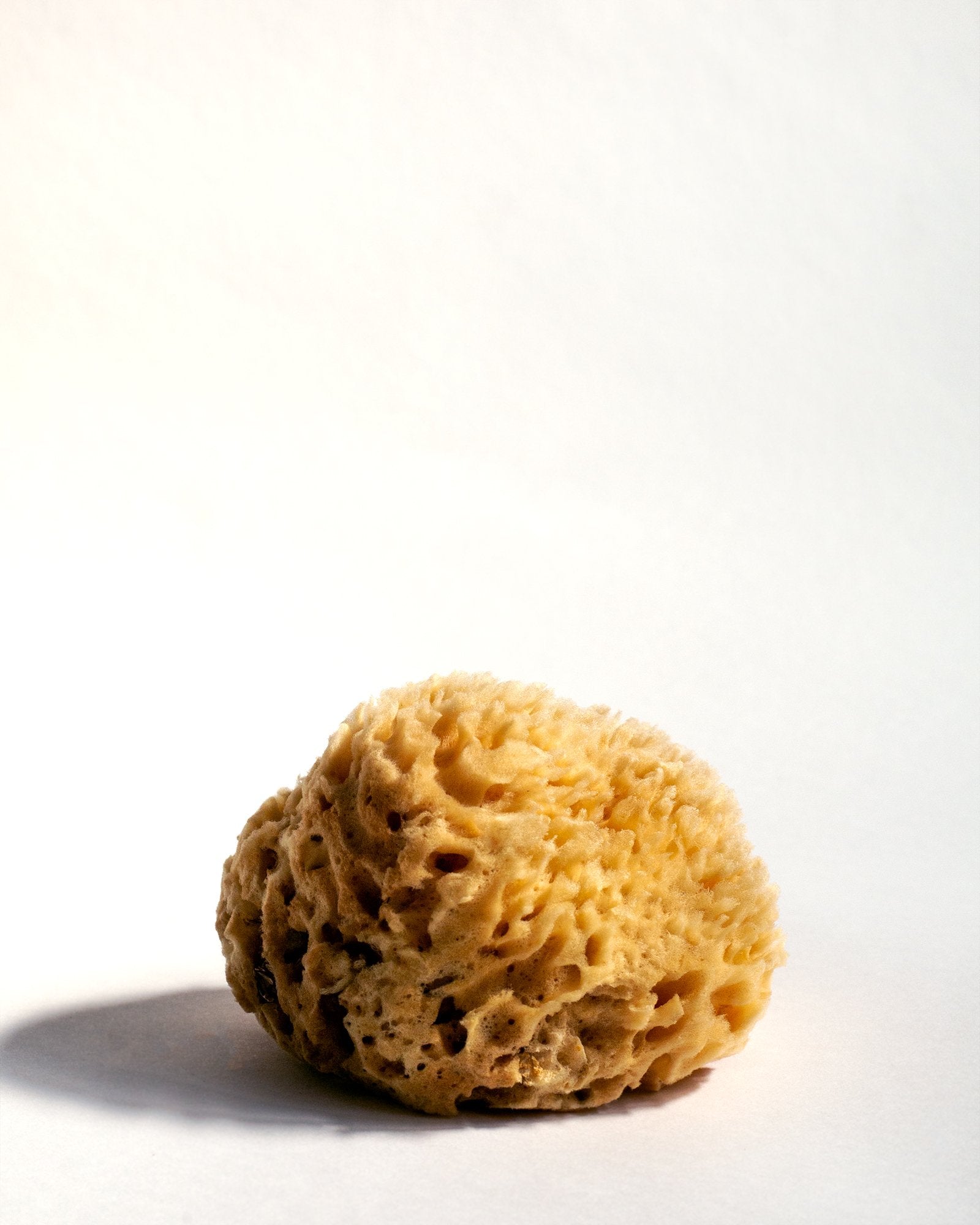 Firsthand Supply Sea Wool Sponge