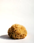 Firsthand Supply Sea Wool Sponge