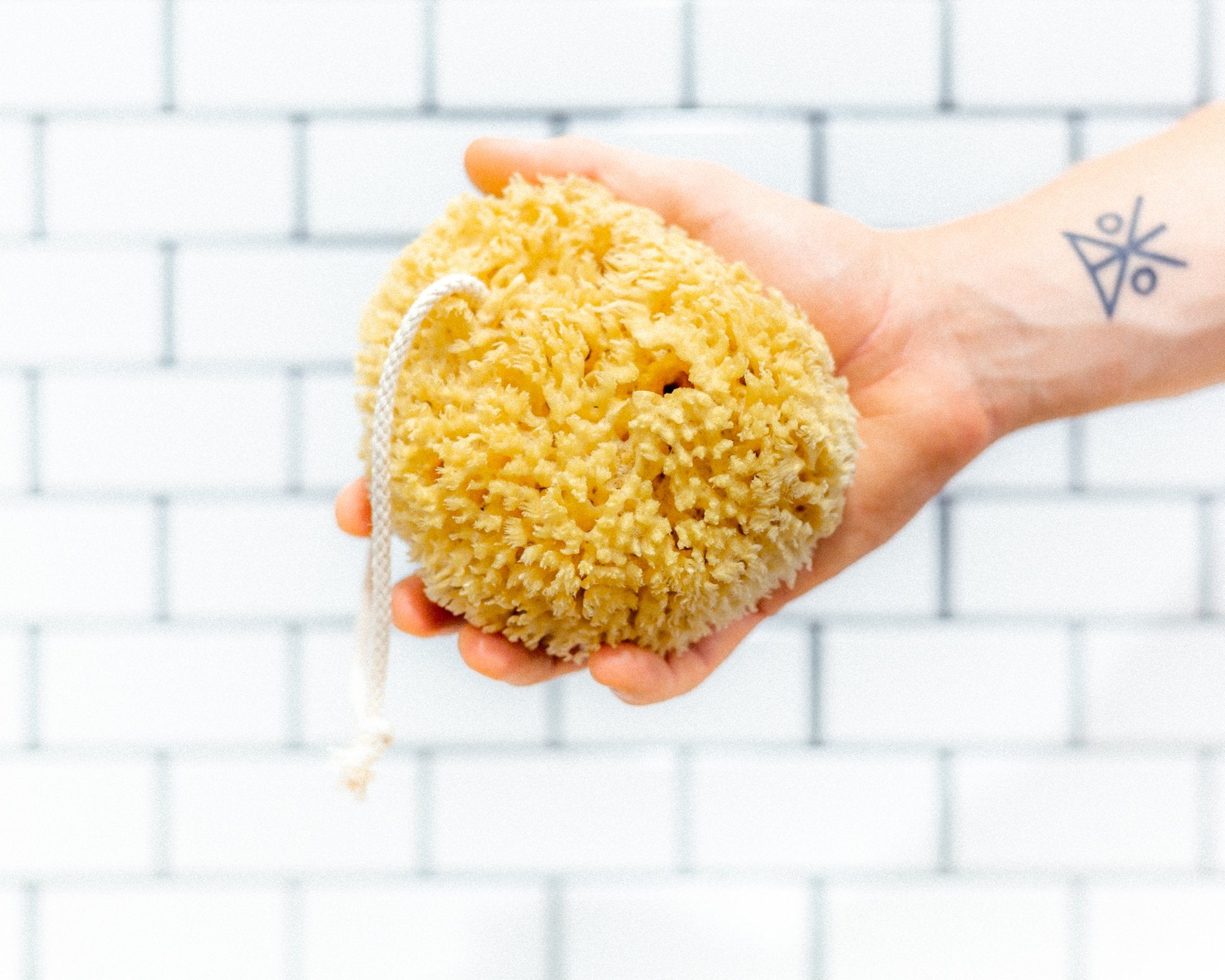 Firsthand Supply Sea Wool Sponge