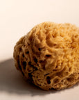 Firsthand Supply Sea Wool Sponge