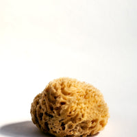 Firsthand Supply Sea Wool Sponge