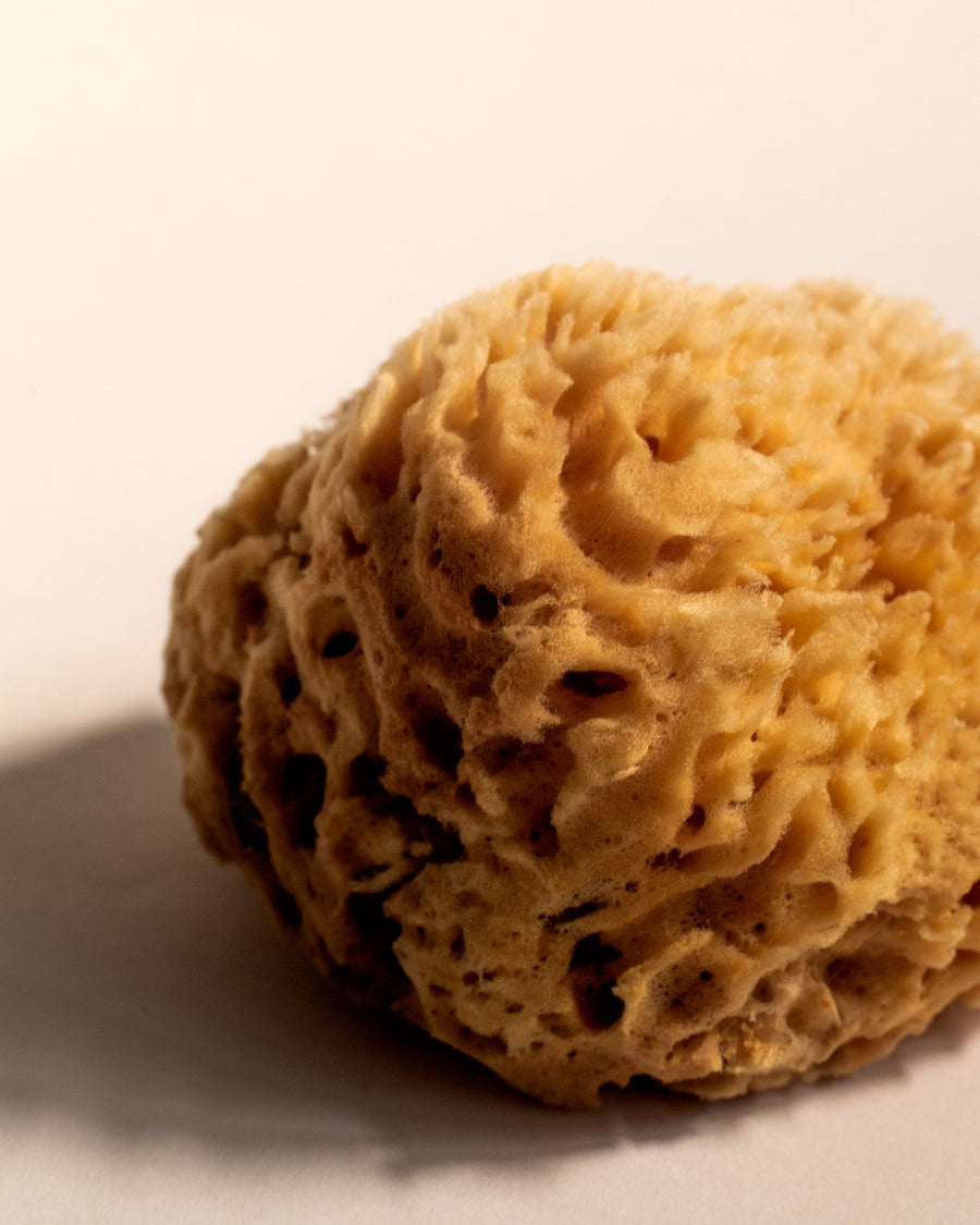 Firsthand Supply Sea Wool Sponge